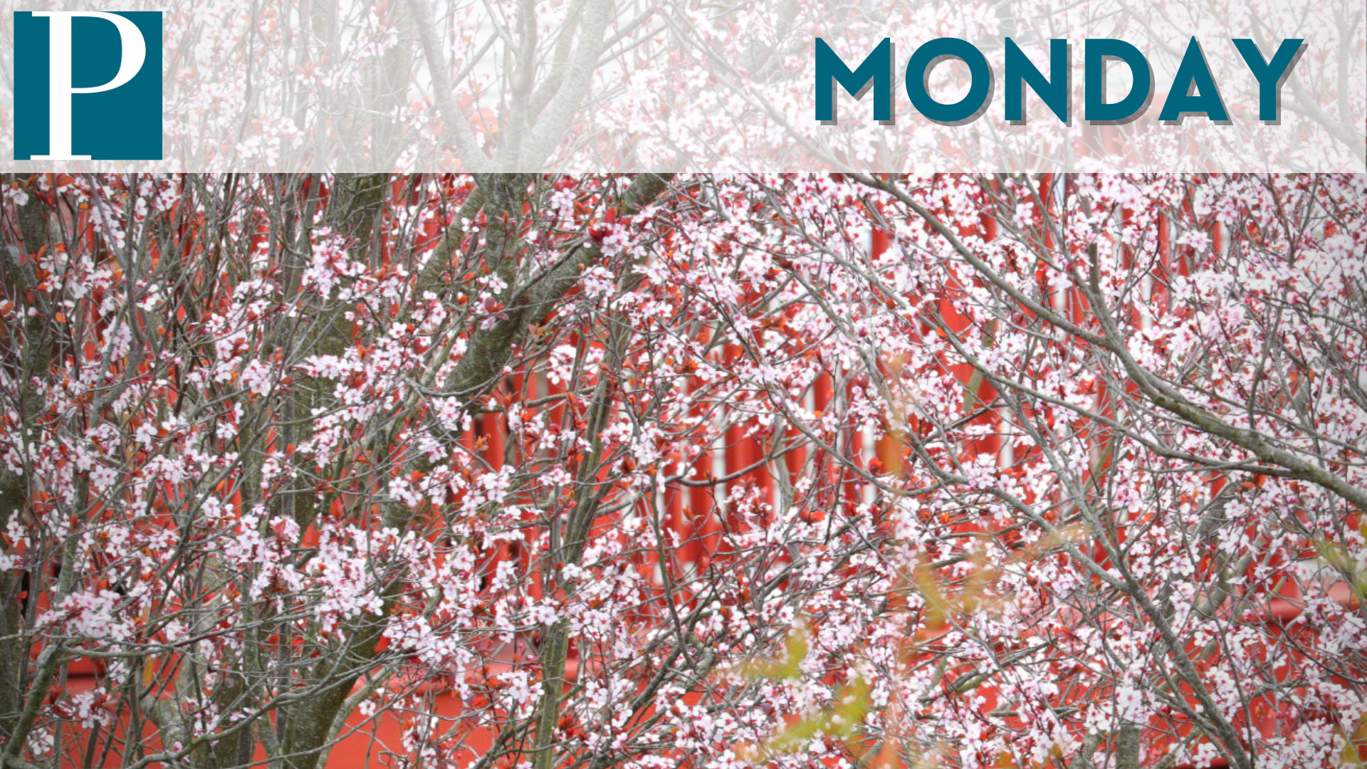 Mostly sunny